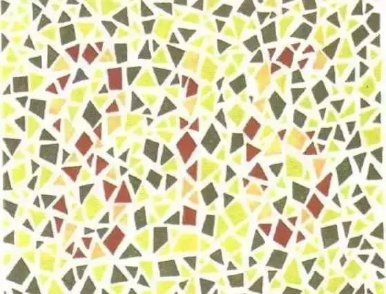 色盲测试图24张图带答案，12张色盲色弱测试图