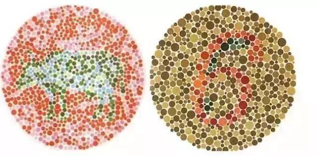 色盲测试图24张图带答案，12张色盲色弱测试图