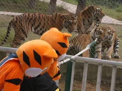 传统接头暗号，历史上真实的接头暗号都什么样