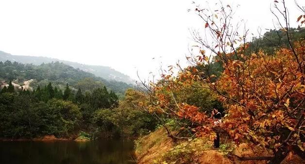 邹城共有多少个山，邹城的这几座山大有来头