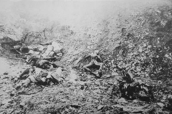 中日甲午战争的详细资料，真实的甲午战争是什么样的