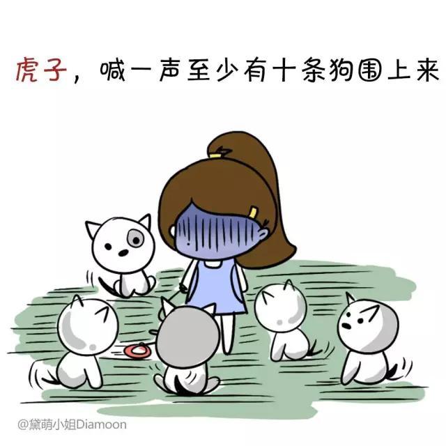 狗狗起名字大全，好听的狗狗名字大全集（58个可爱“狗狗名”）