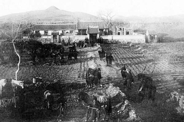 中日甲午战争的详细资料，真实的甲午战争是什么样的