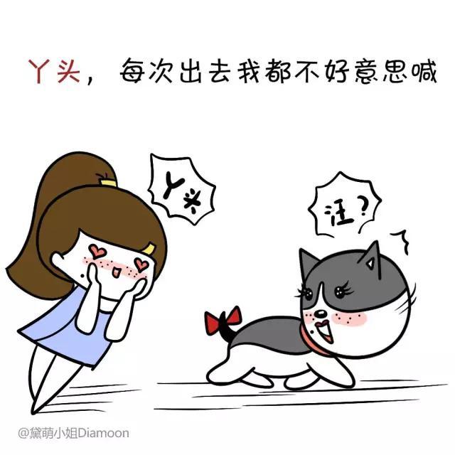 狗狗起名字大全，好听的狗狗名字大全集（58个可爱“狗狗名”）