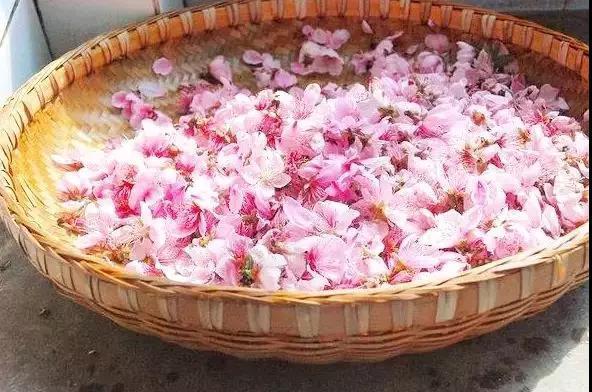 十款美食的最后一种你肯定没吃过，以上十款全国各地美食你们都戳过吗