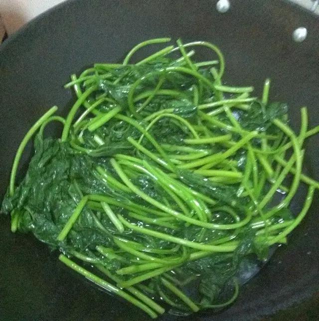 红薯水培教程来了，红薯如何快速水培