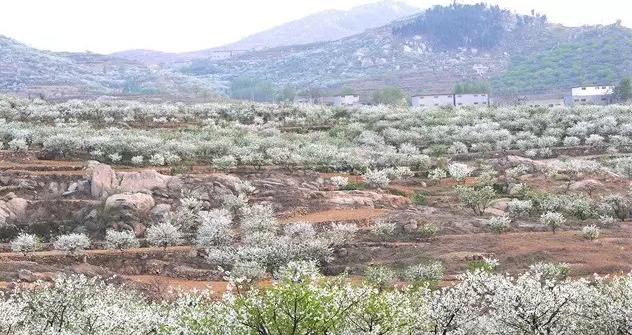邹城共有多少个山，邹城的这几座山大有来头