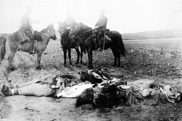 中日甲午战争的详细资料，真实的甲午战争是什么样的