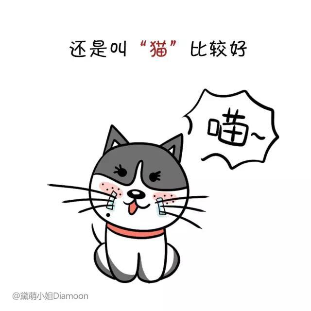 狗狗起名字大全，好听的狗狗名字大全集（58个可爱“狗狗名”）