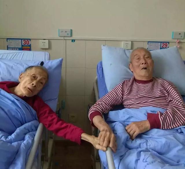 老一辈令人动容的爱情故事，8旬老夫妻爱情最美的样子