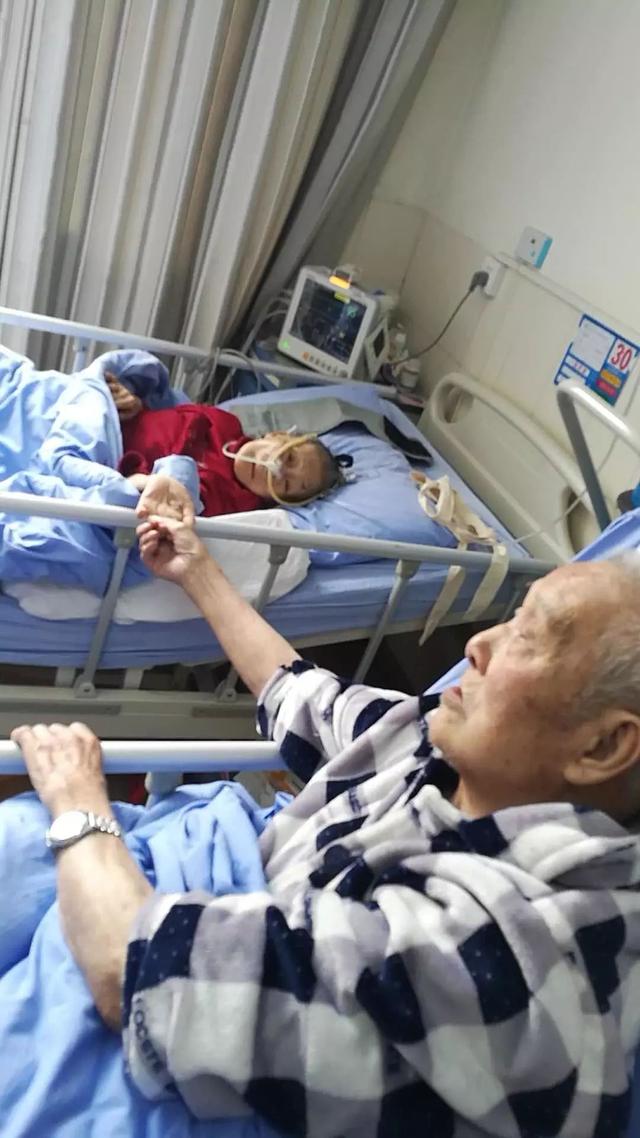 老一辈令人动容的爱情故事，8旬老夫妻爱情最美的样子