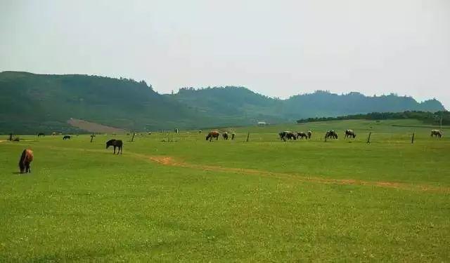 昆明周边16个最佳户外露营地大全，这里有一篇昆明露营地推荐贴