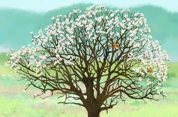 清明节有哪些习俗，这些习俗您知道吗（现在清明节有哪些习俗呢）