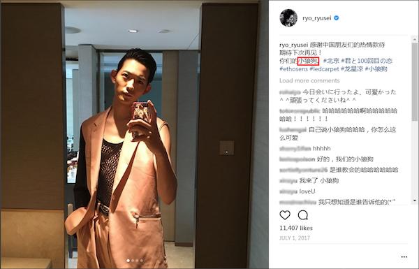 喜欢狗的女生性格，喜欢小狼狗类型的女生的性格（喜欢狗的人，有这四个好的品质）