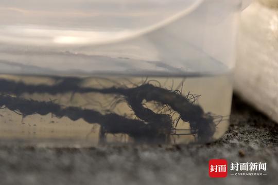 战国墓葬发掘现场，揭秘春秋战国时期双元村船棺葬群