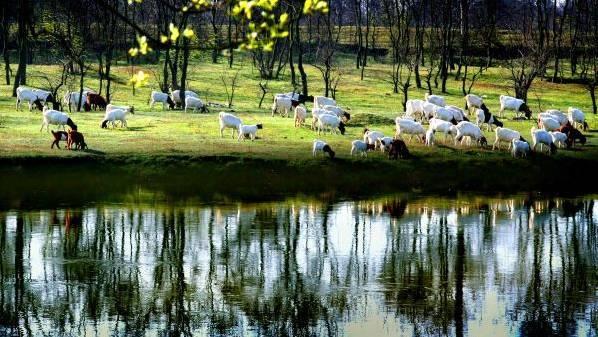 江西最值得去的景点推荐，看不为人知的美丽