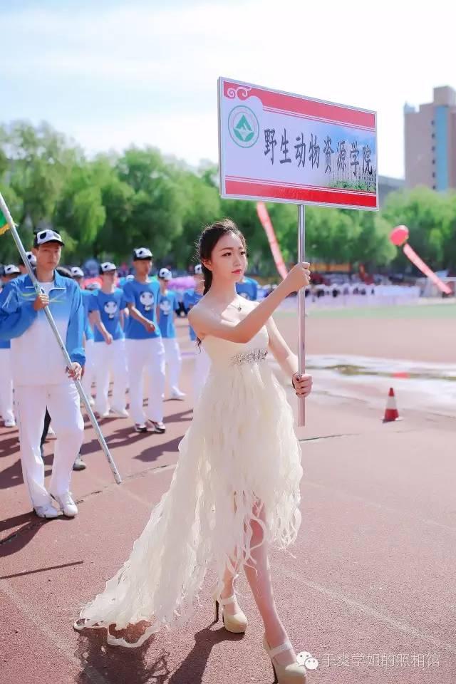 东北林业大学校运会名次，东北林业大学今年运动会前导女神照
