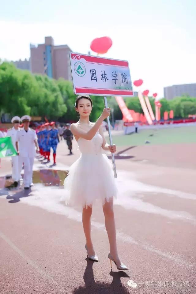 东北林业大学校运会名次，东北林业大学今年运动会前导女神照