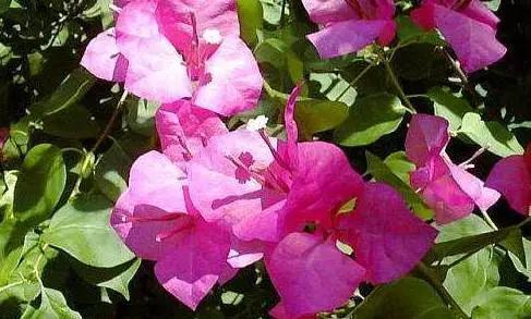 惠州为什么人那么少，你是不是正宗的惠州人