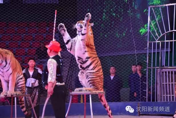 沈阳有什么好玩的地方，沈阳旅游最值得去的地方（沈阳市内及周边景区分布）