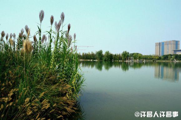 许昌是几线城市，许昌为什么没有四线城市（、许昌四线……河南人快看看）