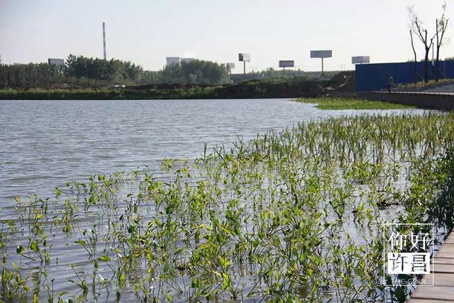 许昌是几线城市，许昌为什么没有四线城市（、许昌四线……河南人快看看）