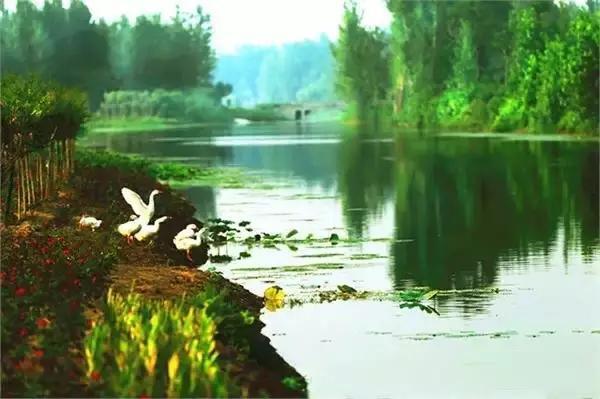 世界排名前十的奢侈品，全球十大奢侈品都有哪些