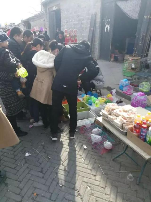 地道战遗址在什么地方，真实的地道战在哪（丰县李药铺地道战遗址）