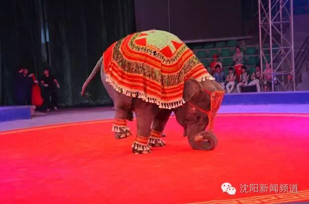 沈阳有什么好玩的地方，沈阳旅游最值得去的地方（沈阳市内及周边景区分布）