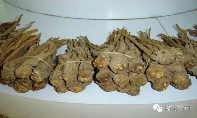 陇南特产清单，再有人问你陇南有什么特产