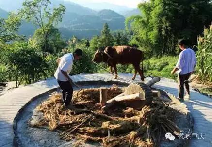 重庆现神奇阴阳洞，重庆神奇的阴阳洞（重庆有个神秘的景点）