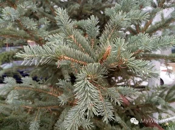 魅蓝3s，魅蓝3s有哪些功能