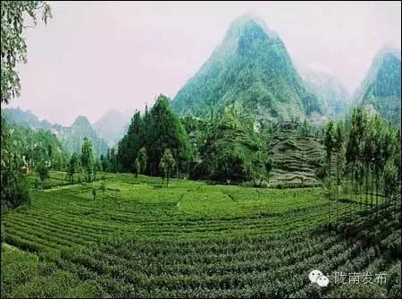 陇南特产清单，再有人问你陇南有什么特产