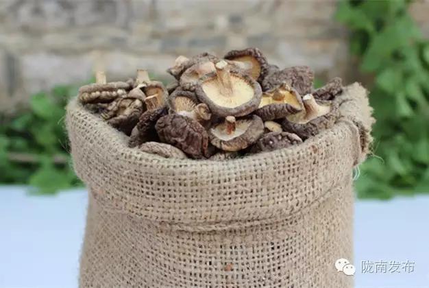 陇南特产清单，再有人问你陇南有什么特产