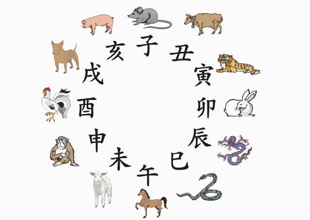 12生肖所有动物介绍大全，12生肖的生肖