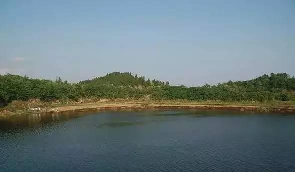 成都周末钓鱼好去处，盘点成都周边钓鱼好去处