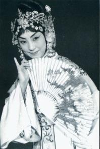 杜近芳现代京剧艺术欣赏，杜近芳“十大名剧”掠影