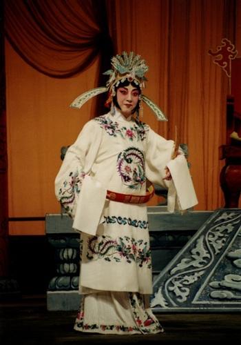 杜近芳现代京剧艺术欣赏，杜近芳“十大名剧”掠影