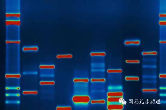 肥胖 网易(肥胖可怕)