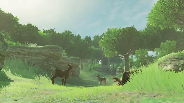 塞尔达传说荒野之息海拉鲁的城堡，塞尔达传说套装收集攻略<二>