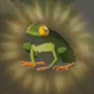 塞尔达传说荒野之息海拉鲁的城堡，塞尔达传说套装收集攻略<二>