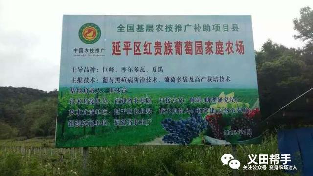 法国葡萄庄园简介，红贵族葡萄园中的真贵族农场故事
