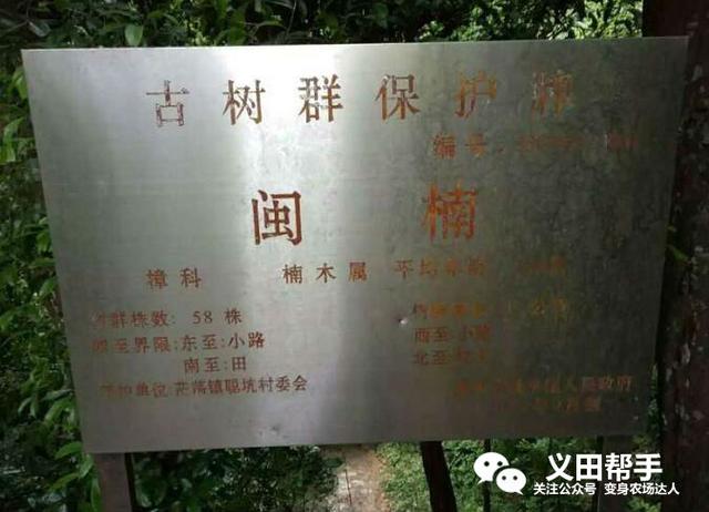 法国葡萄庄园简介，红贵族葡萄园中的真贵族农场故事
