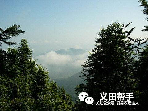 法国葡萄庄园简介，红贵族葡萄园中的真贵族农场故事