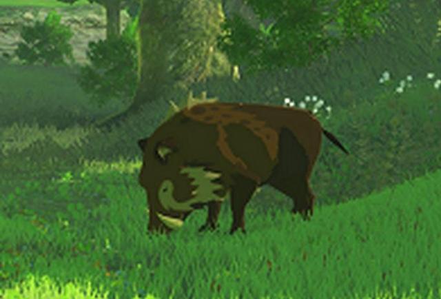 塞尔达传说荒野之息海拉鲁的城堡，塞尔达传说套装收集攻略<二>