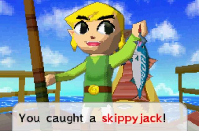 塞尔达传说荒野之息海拉鲁的城堡，塞尔达传说套装收集攻略<二>