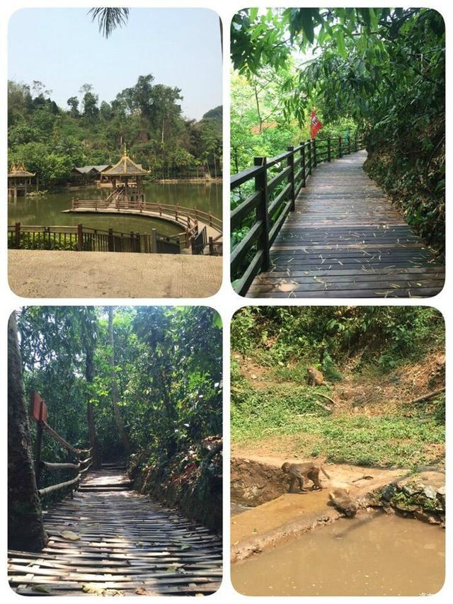 对自由的向往分享我的自驾游记录，20000公里的自驾游我带着父母