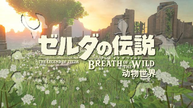 塞尔达传说荒野之息海拉鲁的城堡，塞尔达传说套装收集攻略<二>