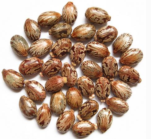 鸡眼怎么算彻底治愈，鸡眼是隐形的痛