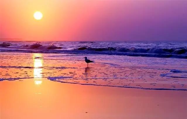 美丽小岛人间仙境，天然心形小岛惊现深圳